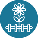 Icon Gärtner:in Fachrichtung Blumen- und Zierpflanzenbau 