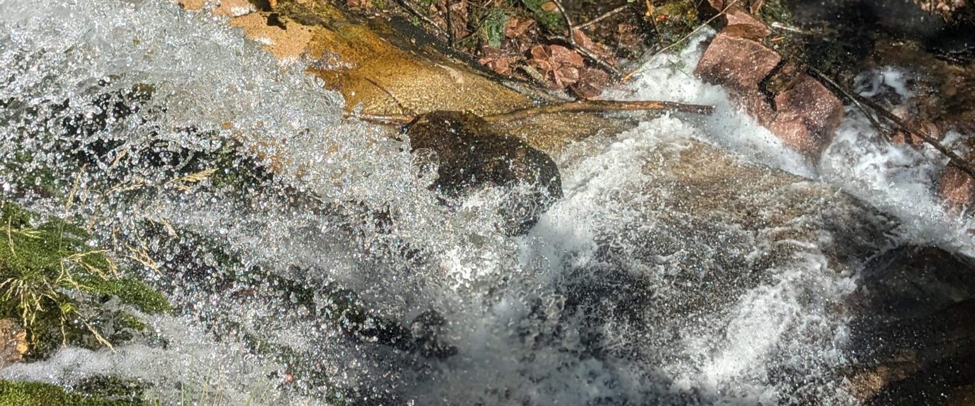 Quellwasser auf dem Hellberg 